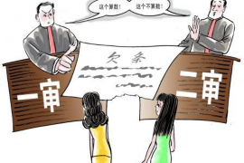 长丰为什么选择专业追讨公司来处理您的债务纠纷？